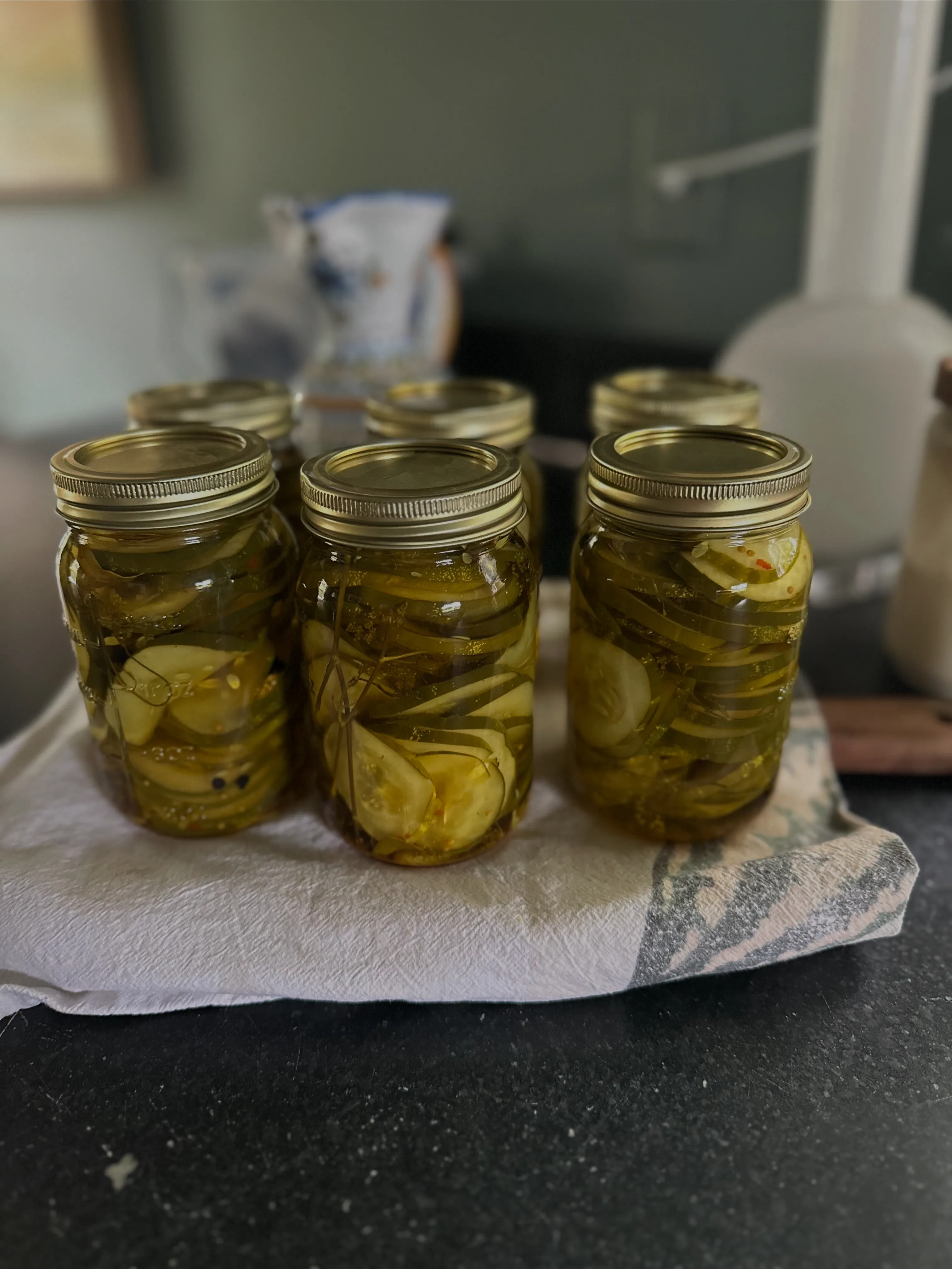 Mason jars of pickled cucumbers lined up on the counter